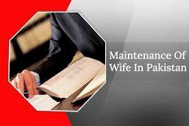 Wife maintenance